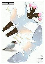 ブンチョウ